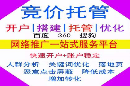 SEM竞价实战：成功案例解析